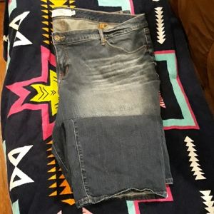 Torrid Jeans